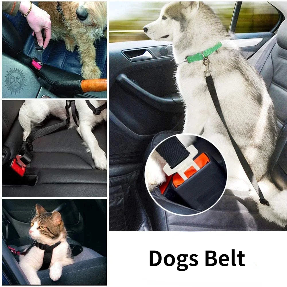 CINTO DE SEGURANÇA PARA PETS