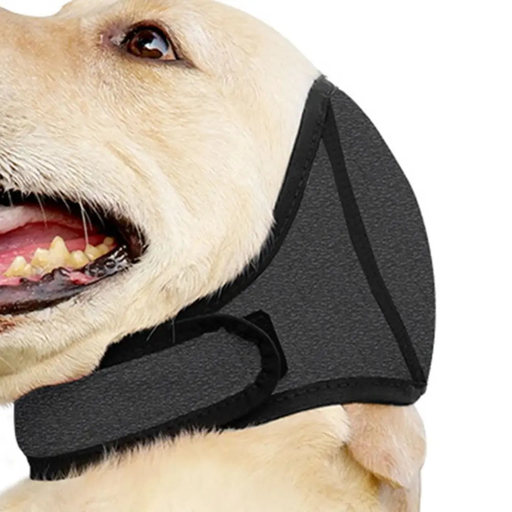 TOUCA DOG AIR
