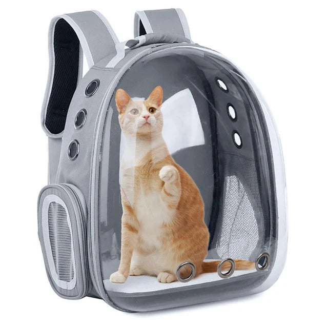 BOLSA PET