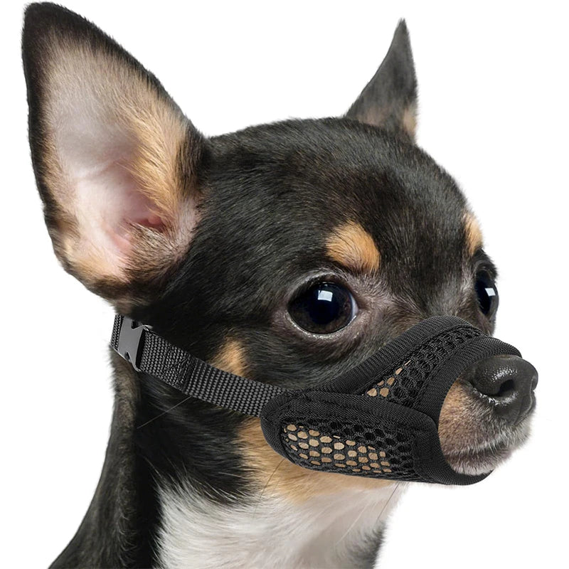 FOCINHEIRA DE TECIDO PARA CÃES