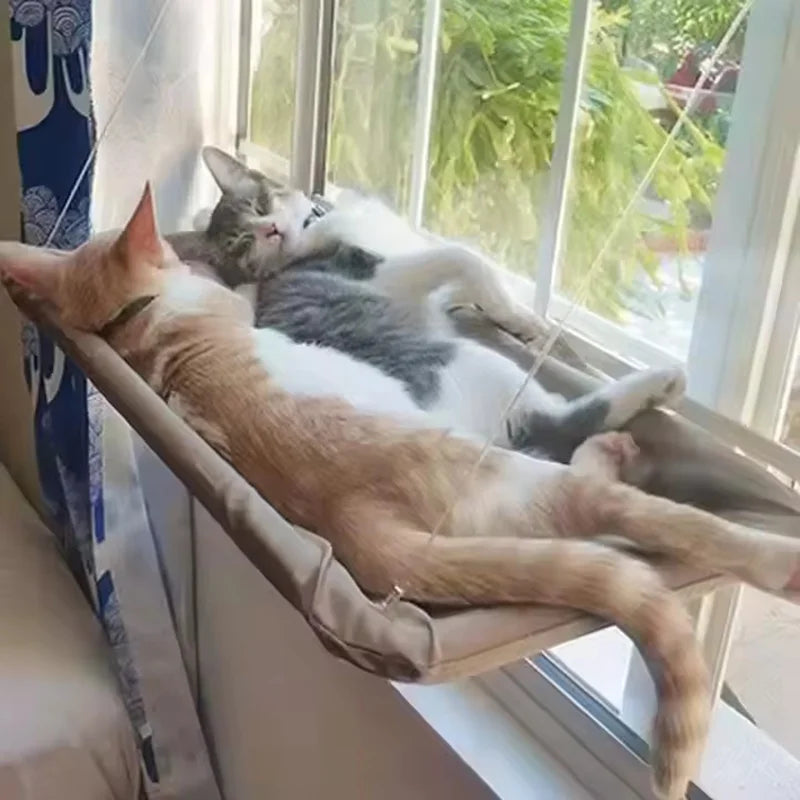 CAMA PARA GATOS