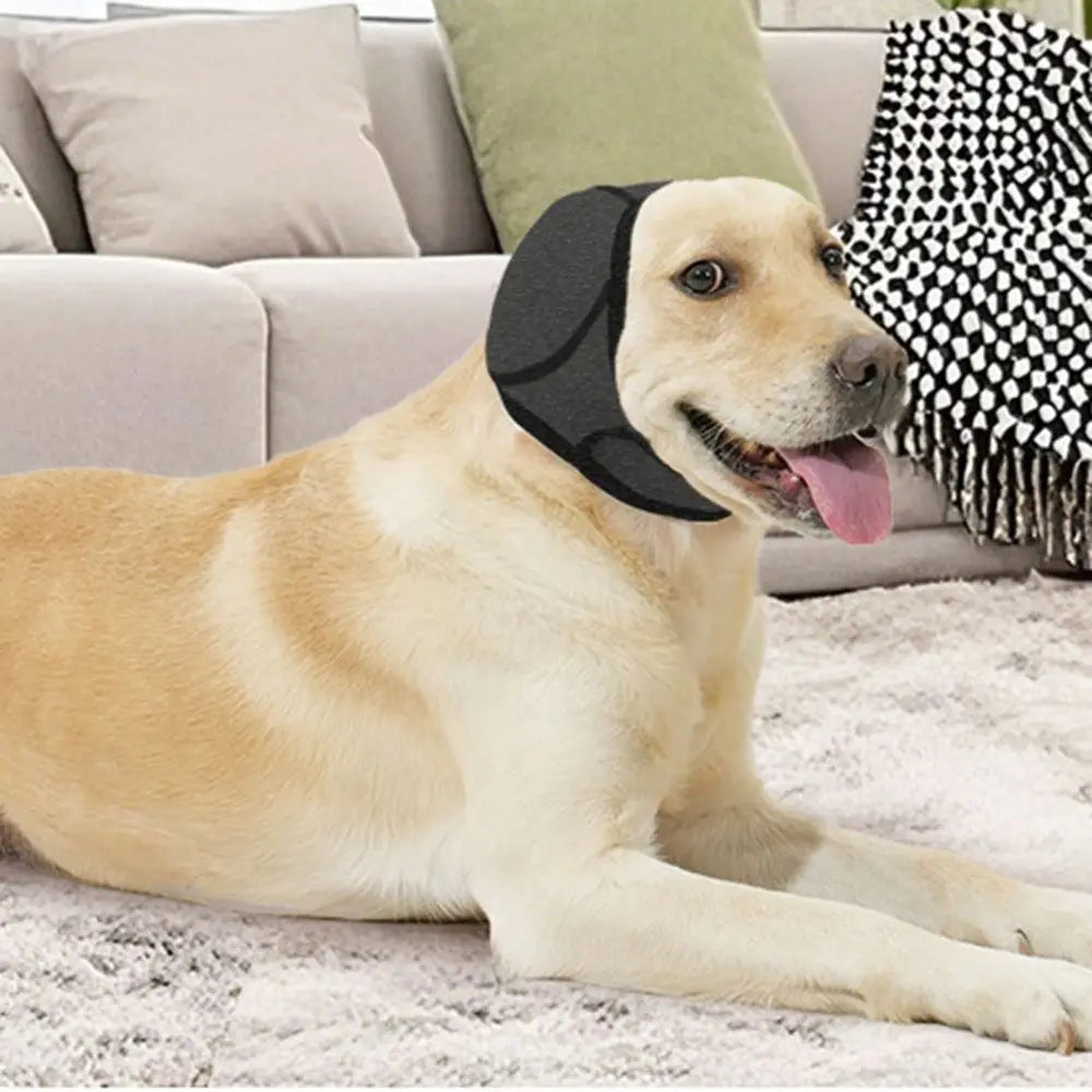 TOUCA DOG AIR