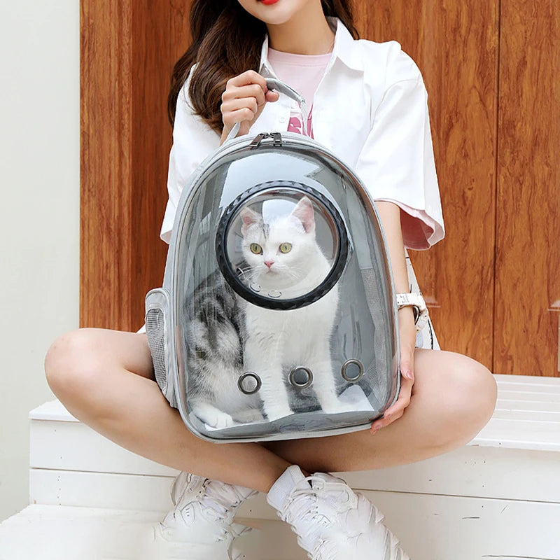 BOLSA PET