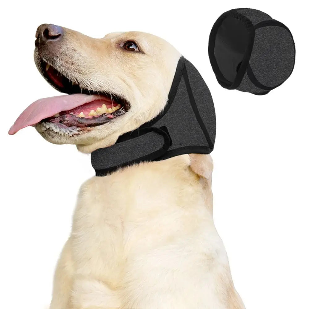 TOUCA DOG AIR