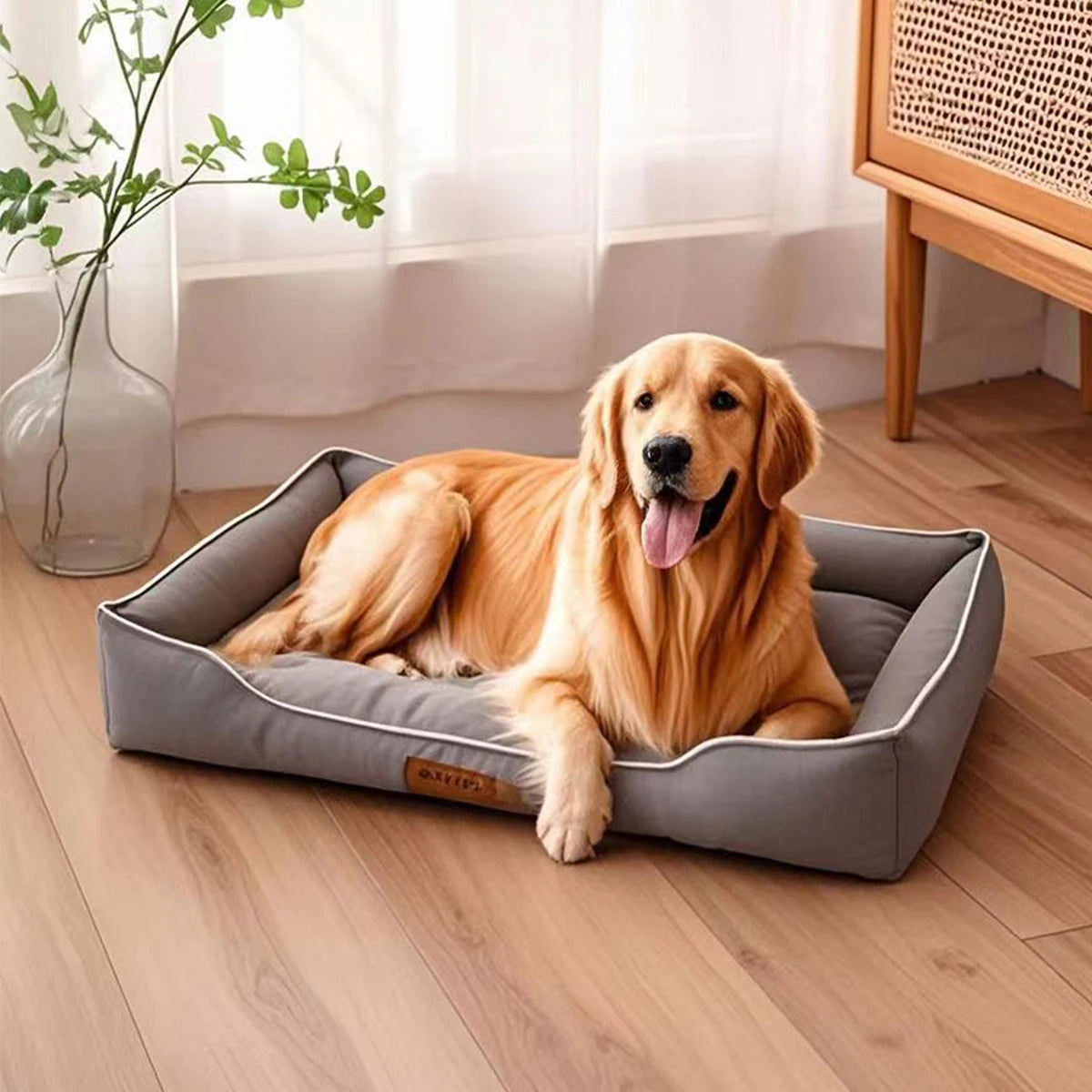 CAMA PET