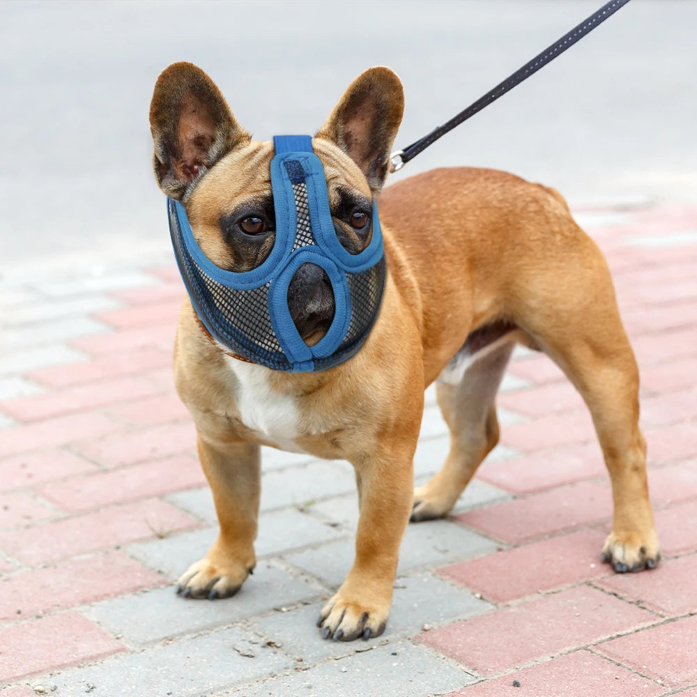 FOCINHEIRA DE NYLON PARA CÃES