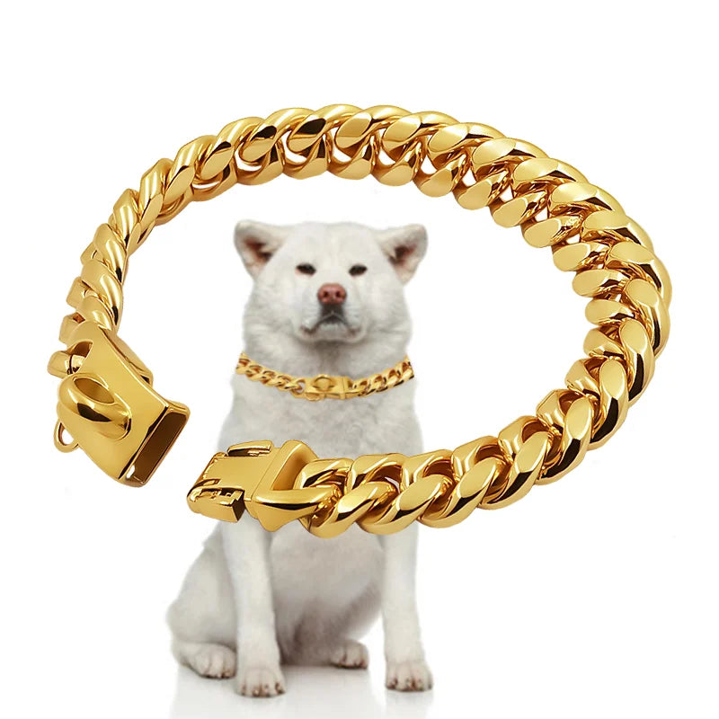 COLEIRA PREMIUM GOLD